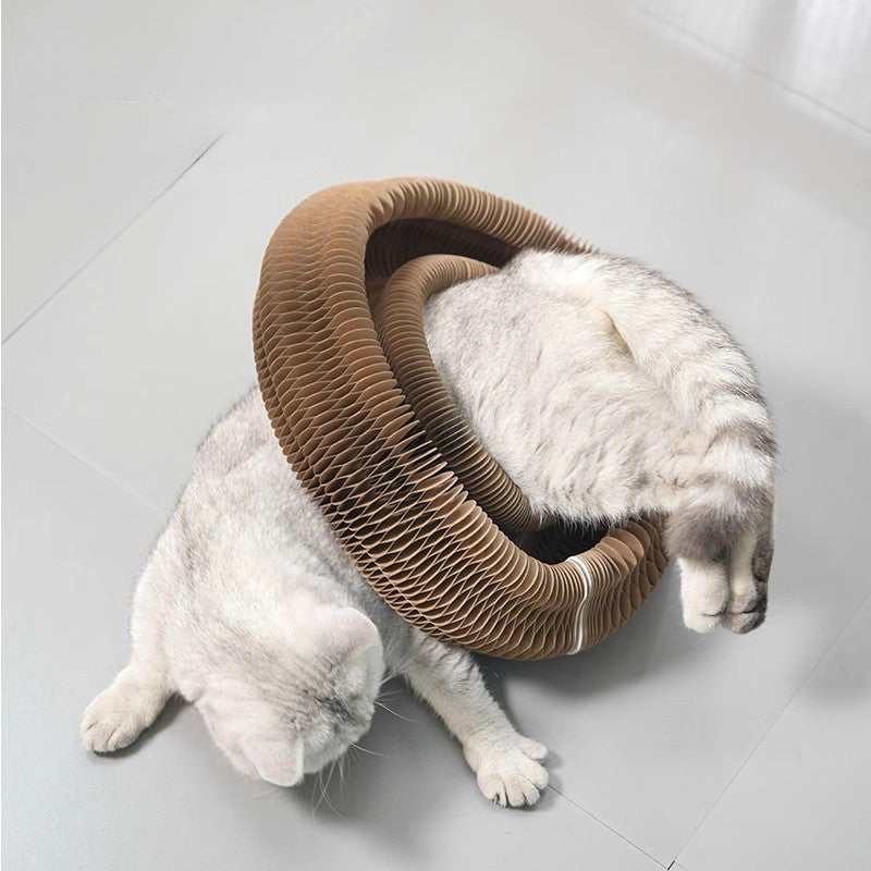 Kitty Accordion Toy Ball Scratch Pad