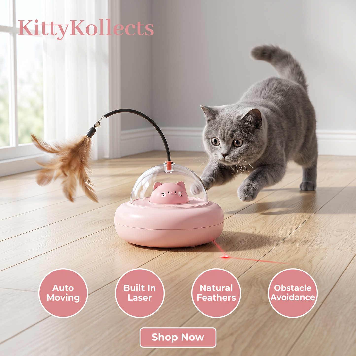 Cosmic Kitty UFO